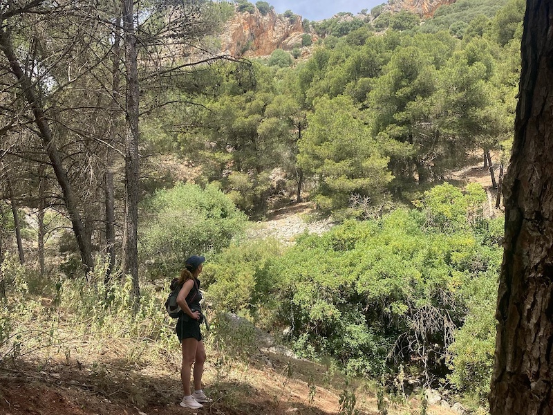 Wandelen in de Sierra de las Nieves (Malaga, Andalusië)