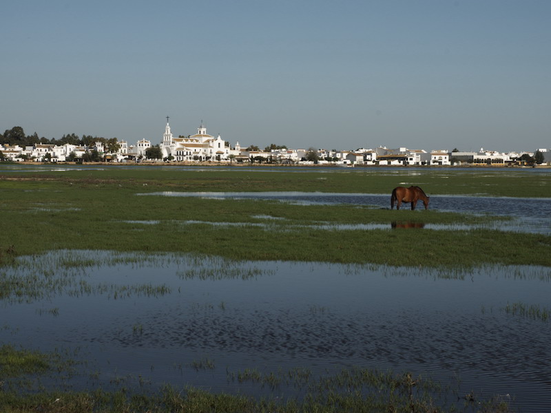 Nationaal park Doñana aan de westkust van Andalusië met op de achtergrond El Rocío