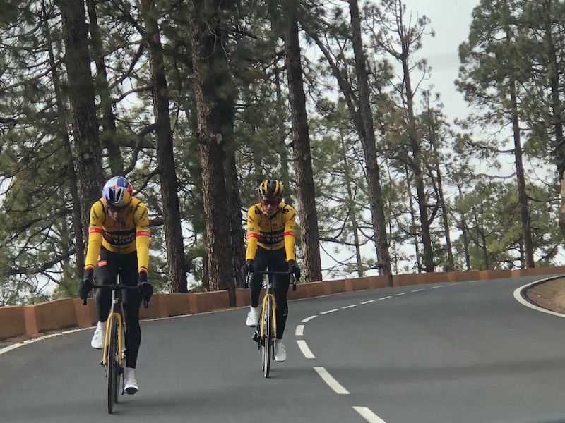 Wielrenners in de Corona Forestal bosrand rond nationaal park El Teide