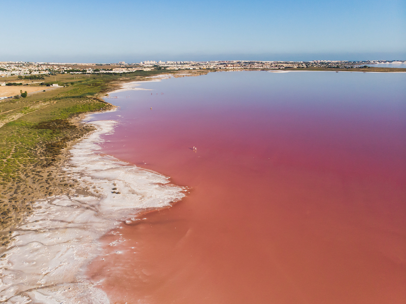 Het zoutmeer van Torrevieja in het zuiden van de Costa Blanca